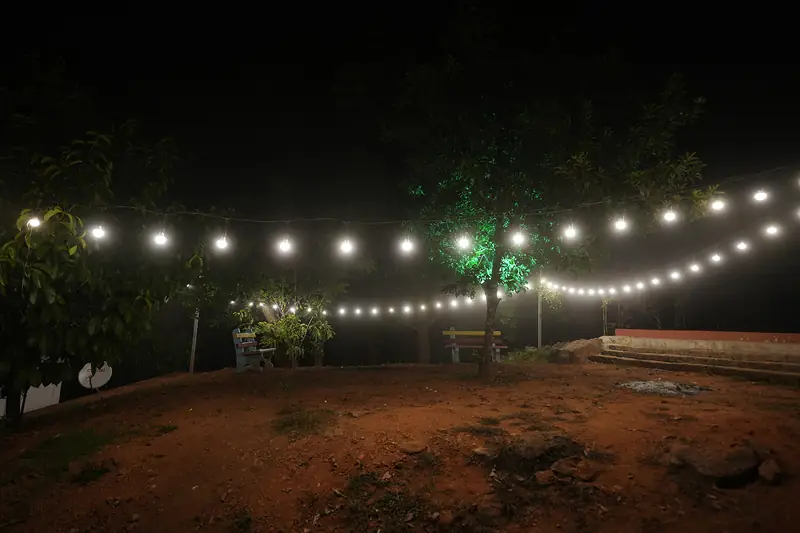 Lawn lit with string lights for evening campfires