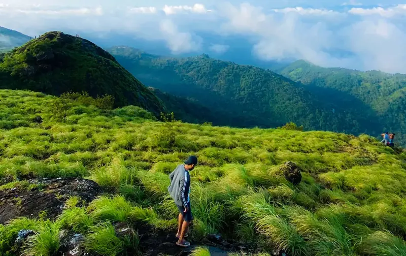 Traveller on the green grassland hills of Kakkadampoyil in the Western Ghats