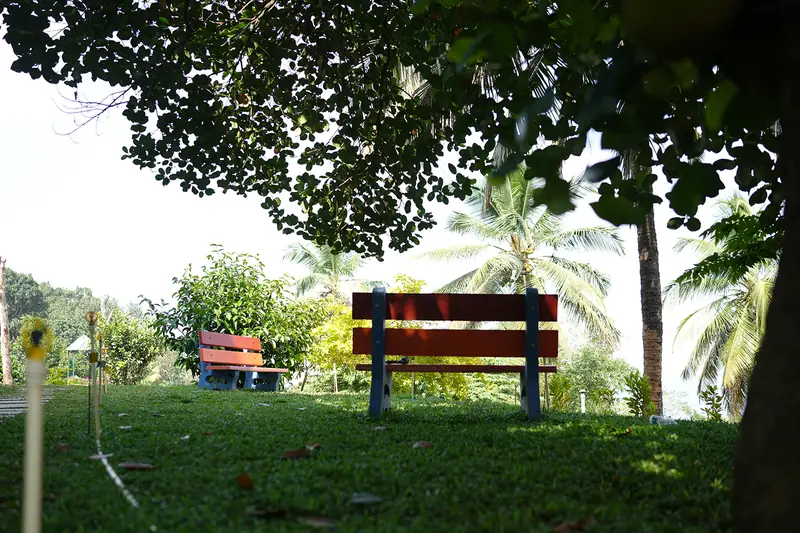 Benches on the view point lawn among coconut palms at Purayil Resort