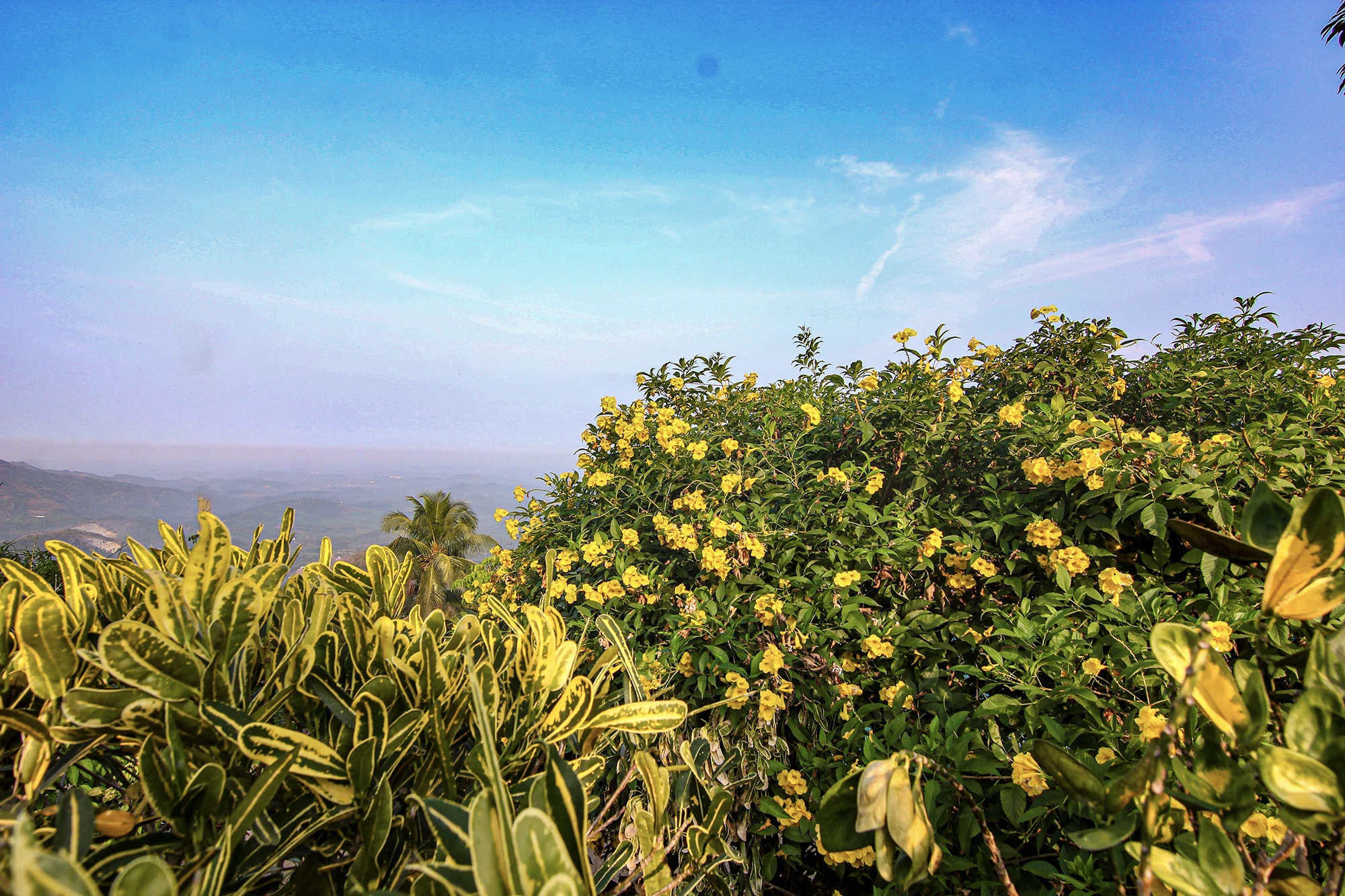 Purayil-Resort-Kakkadampoyil-Best-Family-and-Bachelor-Resort-in-kakkadampoyil-12