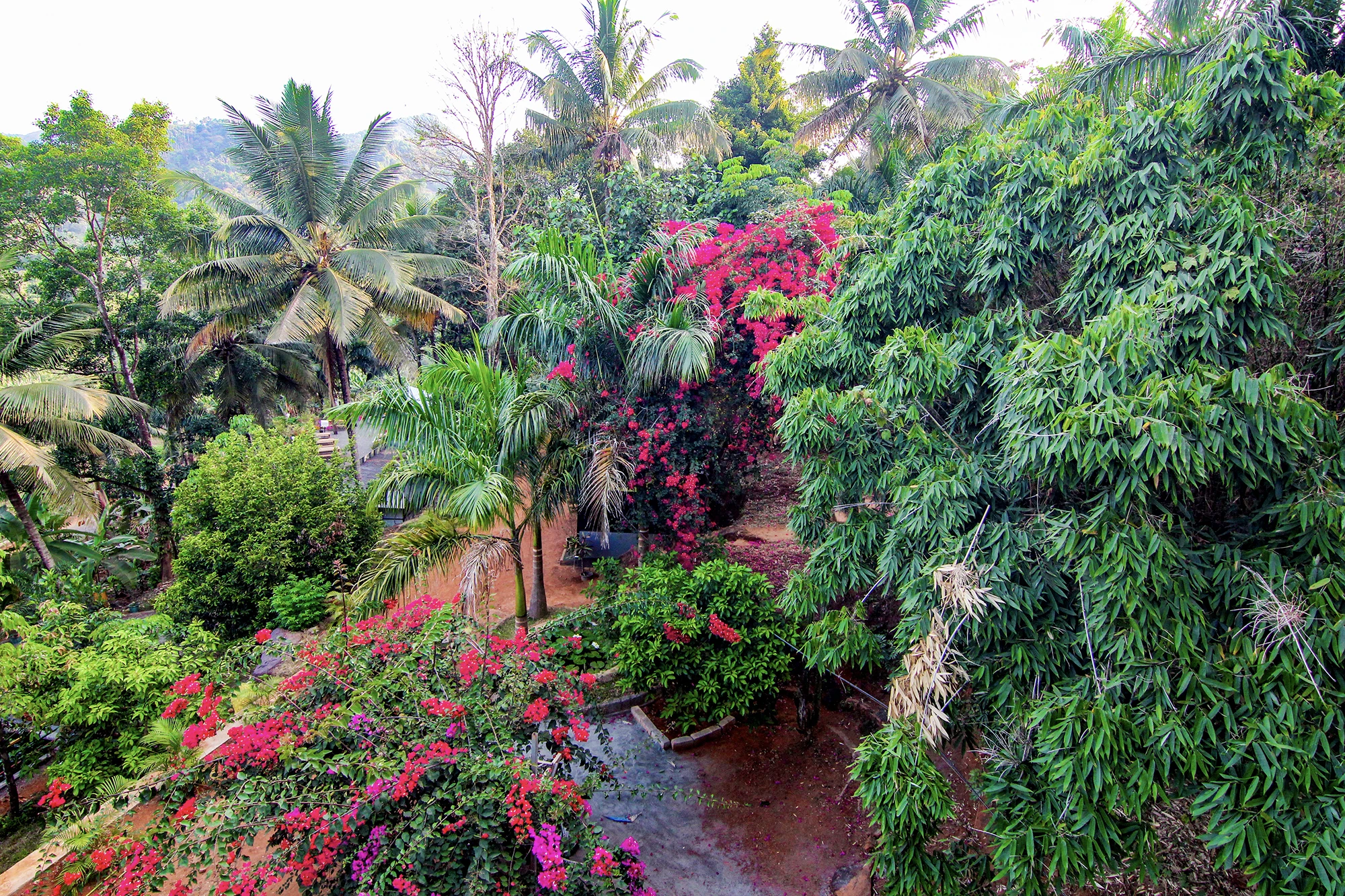 Purayil-Resort-Kakkadampoyil-Best-Family-and-Bachelor-Resort-in-kakkadampoyil-14