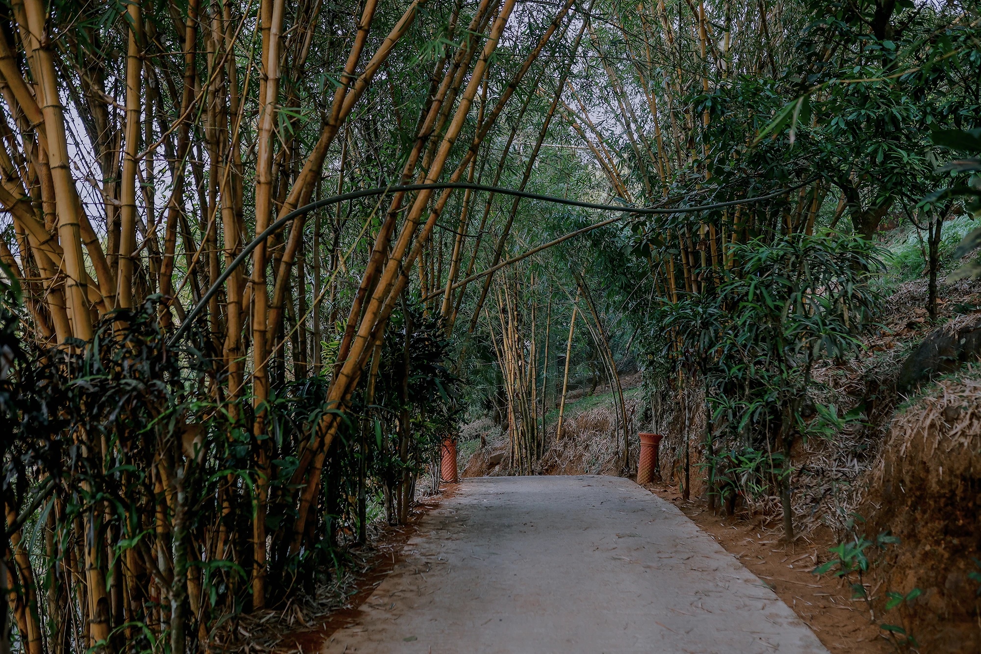 Purayil-Resort-Kakkadampoyil-Best-Family-and-Bachelor-Resort-in-kakkadampoyil-5